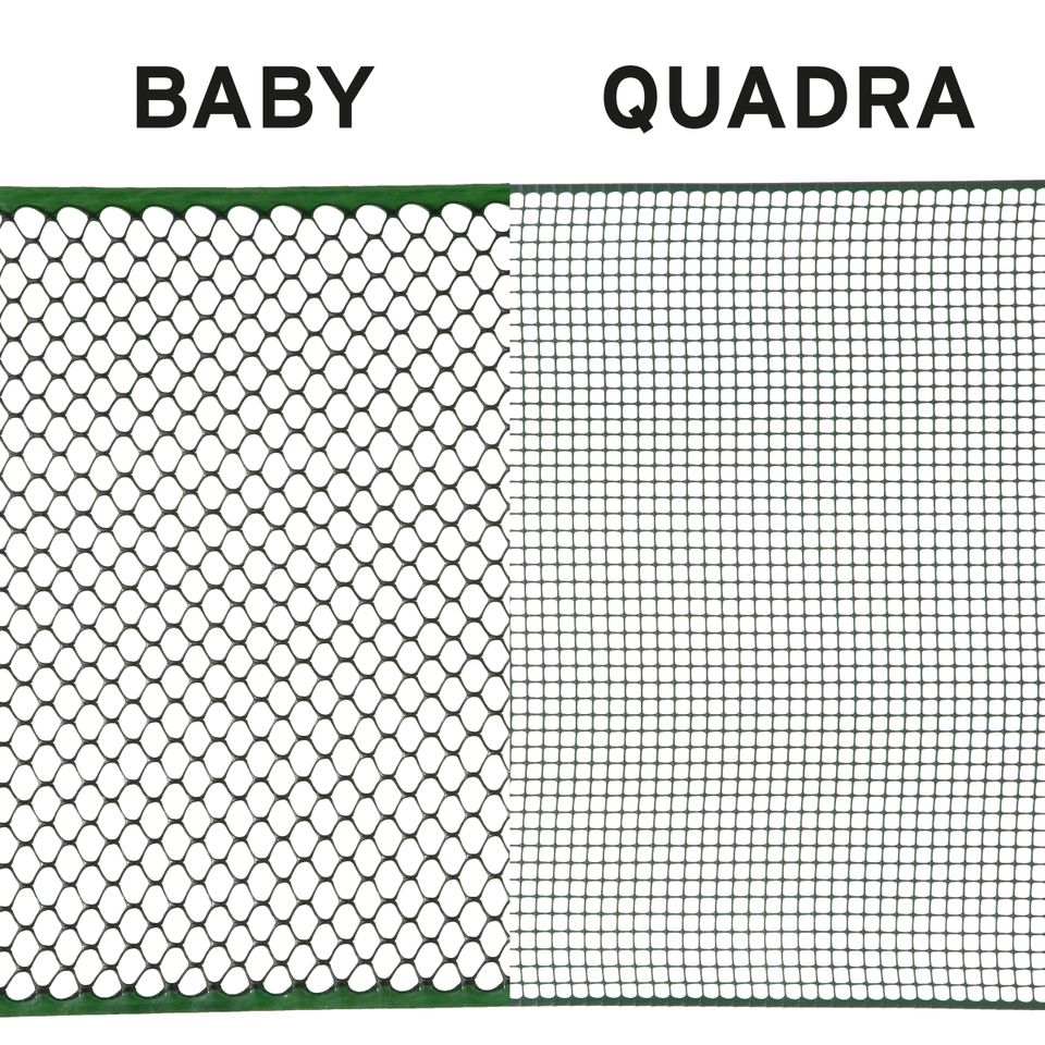 Baby - Quadra